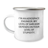 Load image into Gallery viewer, Aerospace Engineer Gifts Funny Mug for Birthday, &#39;I&#39;m An Aerospace Engineer...&#39; Sarcasm Humor, Camping Mug for Men Women Friends Family, 12 oz Stainless Steel with Enamel Finish - Image 1
