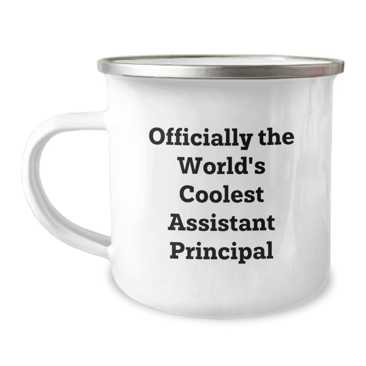 Funny Gifts for Assistant Principals, World's Coolest Assistant Principal Mugs, Camping Mug for Christmas Unique Gifts from Men, Women, Friends, Family - Image 1