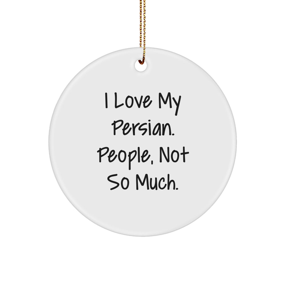 Persian Cat Lovers Gifts from Friends, Gifts for Persian Cat Owners, Funny Christmas Ornament - Image 1