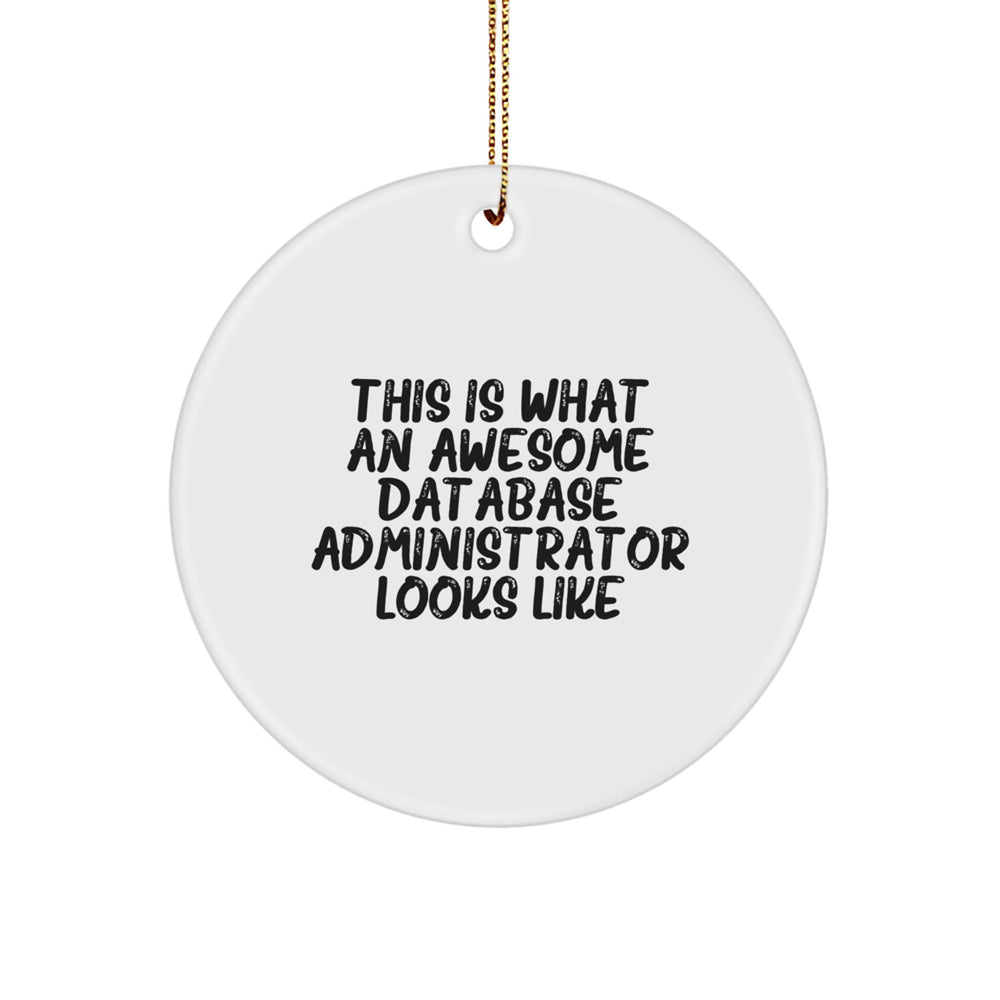 Database Administrator Gifts, Funny Quote Ornament, Circle-Shaped MDF, White, 'This Is What An Awesome Database Administrator Looks Like', Christmas Unique Gifts from Friends and Family - Image 1