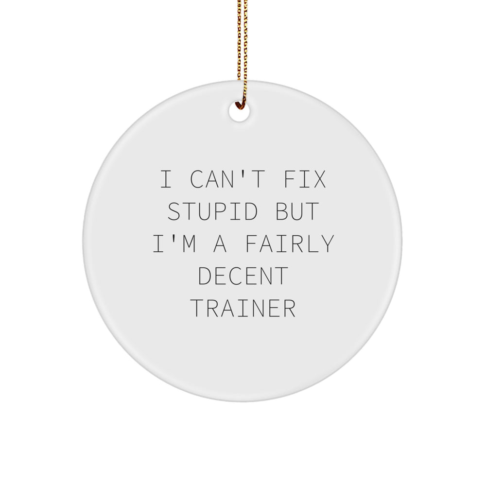 Funny Trainer Gifts: 'I Can't Fix Stupid But I'm A Fairly Decent Trainer' Circle Ornament for Christmas - Image 1