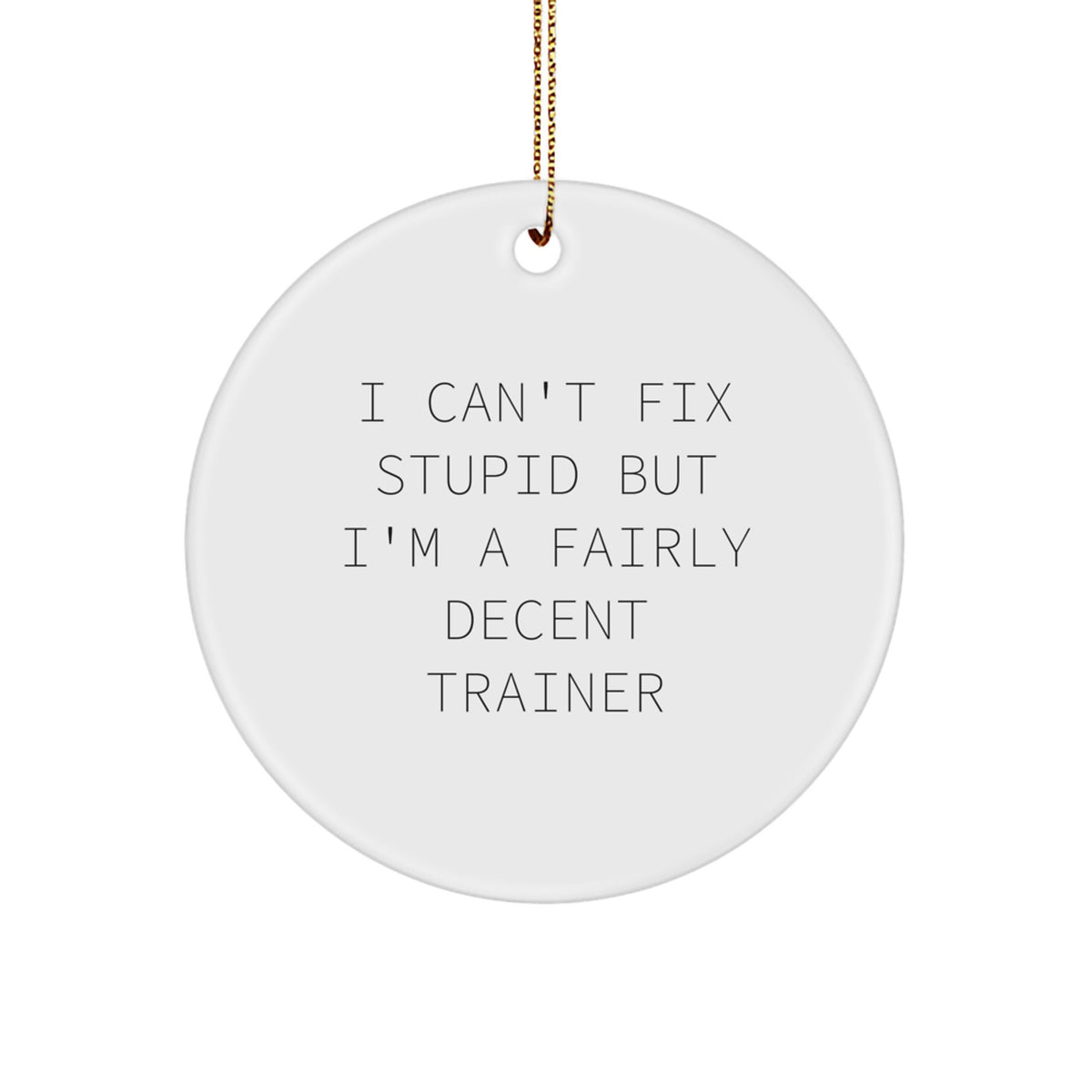 Funny Trainer Gifts: 'I Can't Fix Stupid But I'm A Fairly Decent Trainer' Circle Ornament for Christmas - Image 1