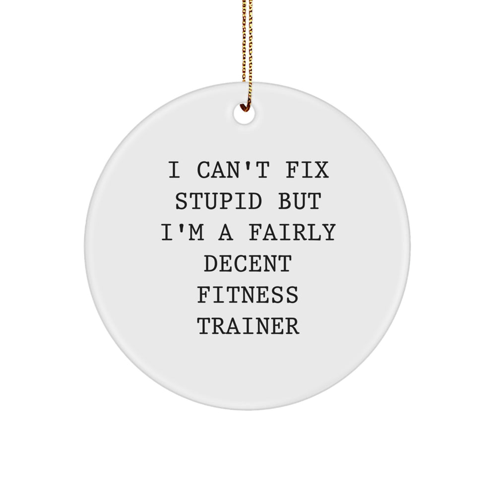 Funny Fitness Trainer Christmas Unique Gifts from Friends for Men - I 'Can't Fix Stupid' Ornament, Circle Shaped, White - Image 1