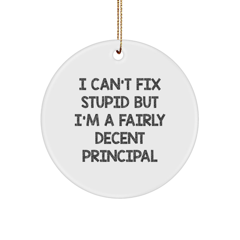 Funny Principal Gifts for Men, Christmas Unique Circle Ornaments for Principal, I Can't Fix Stupid But I'm A Fairly Decent Principal Quote - Image 1