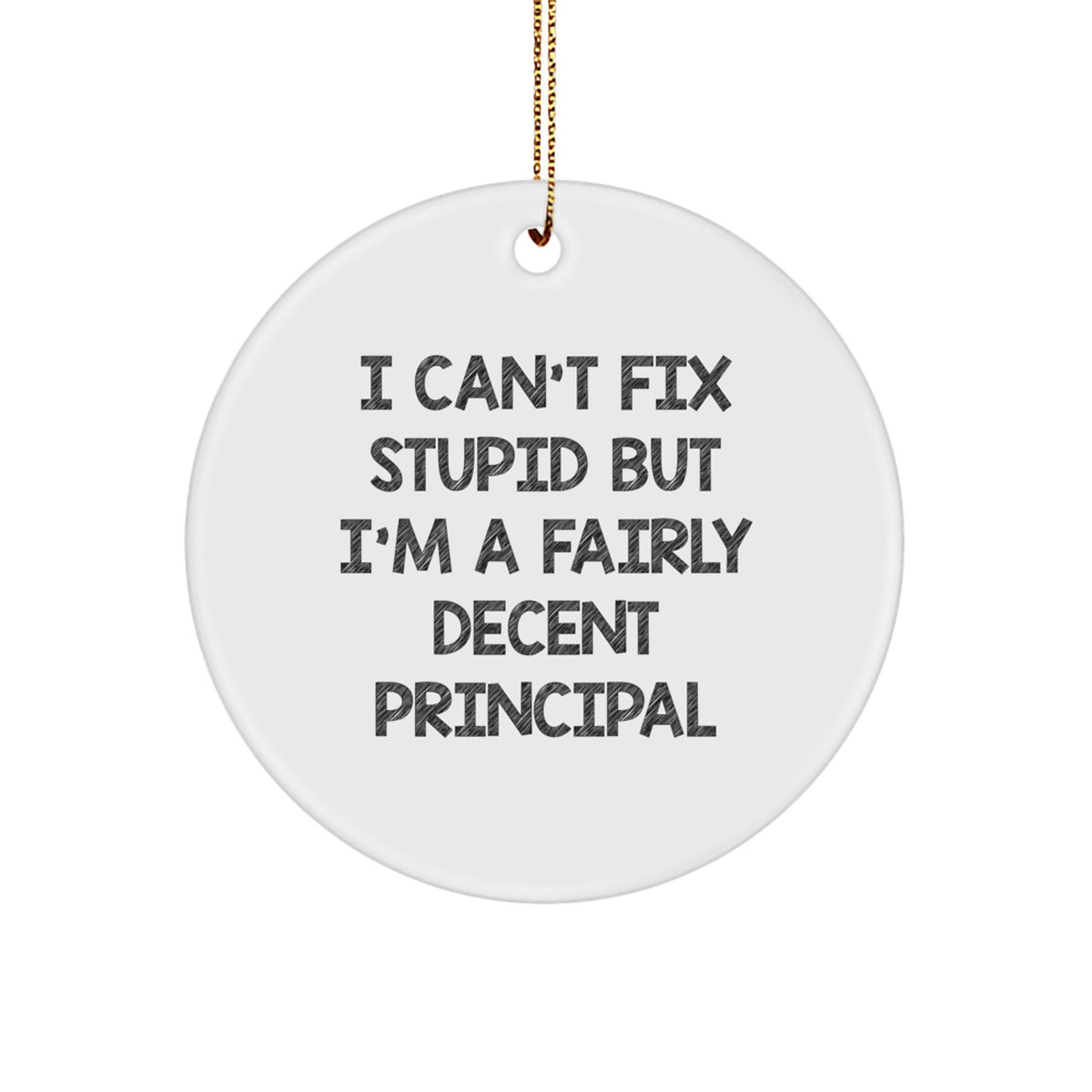 Funny Principal Gifts for Men, Christmas Unique Circle Ornaments for Principal, I Can't Fix Stupid But I'm A Fairly Decent Principal Quote - Image 1