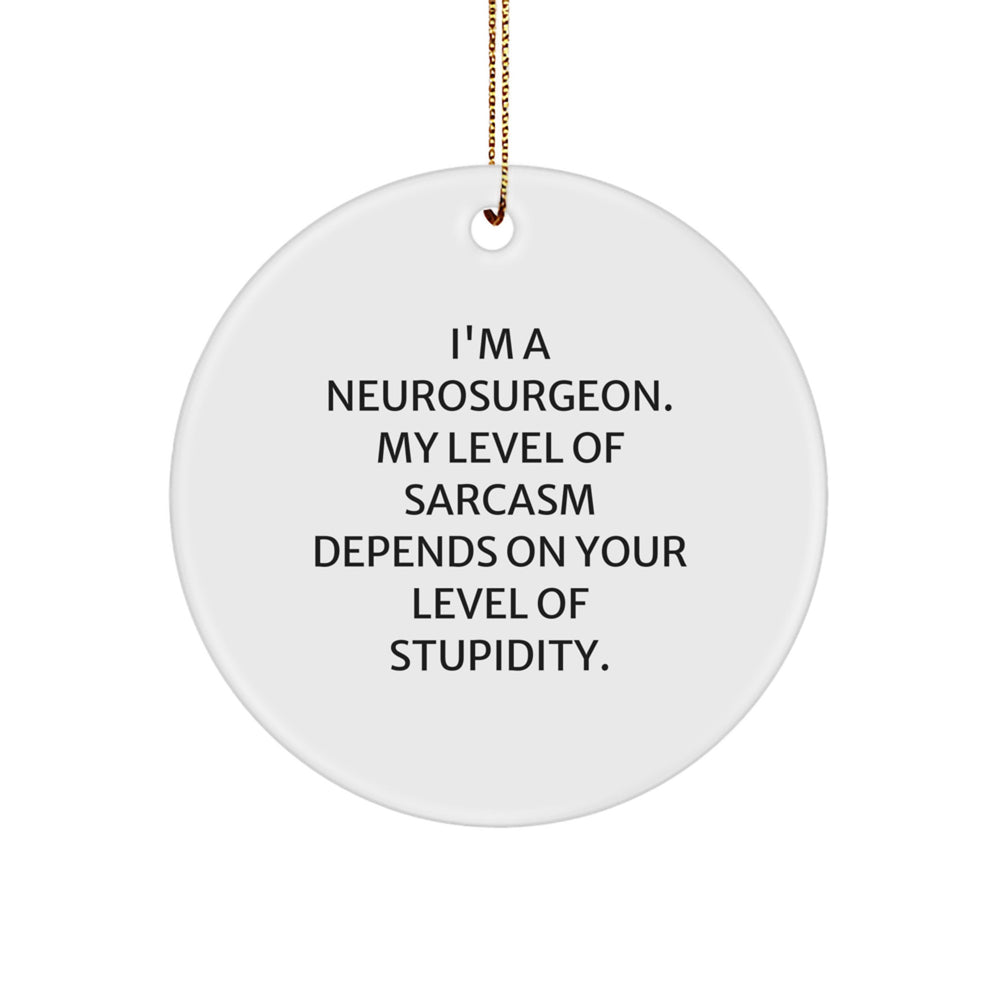 Funny Neurosurgeon Gifts, Christmas Unique Ornaments, Quote Circle Ornament for Neurosurgeon Men, Women, Friends, Coworkers, Family - Image 1