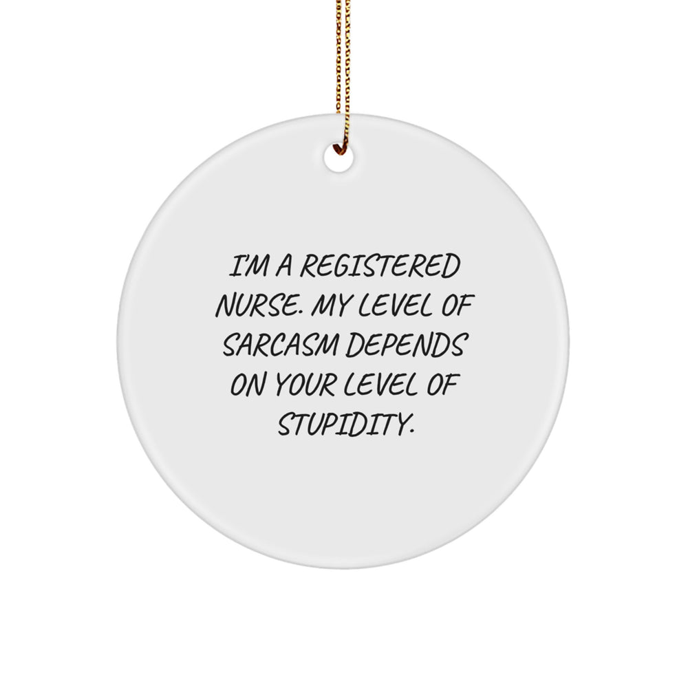 Registered Nurse Gifts, Funny Circle Ornament, 'I'm a Registered Nurse...' Quote, Christmas Memorable Present for Coworkers, Gifts from Friends - Image 1