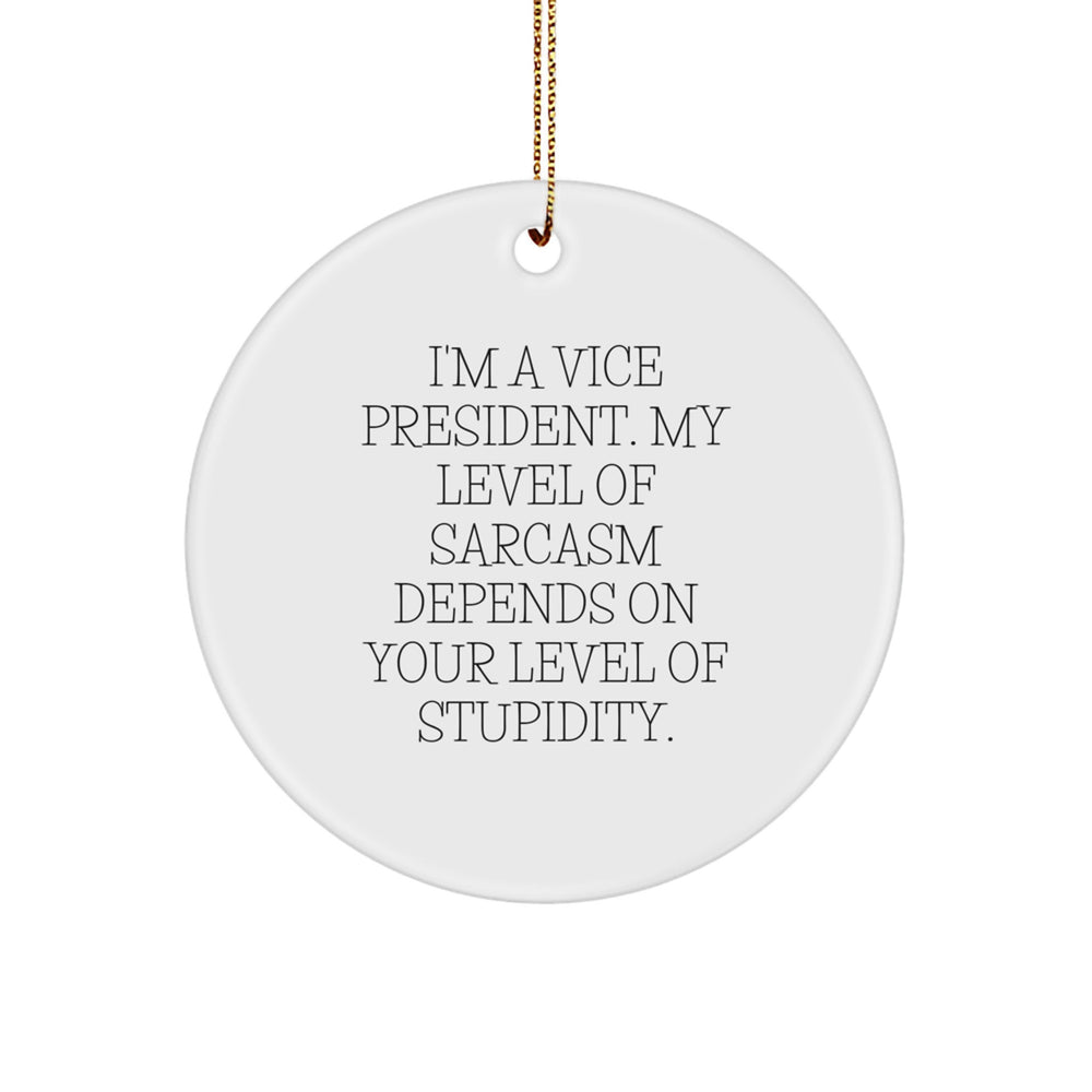 Funny Vice President Circle Ornament Gifts from Friends - Sarcastic Christmas Decorations for Office - Vice President Vice President - Image 1