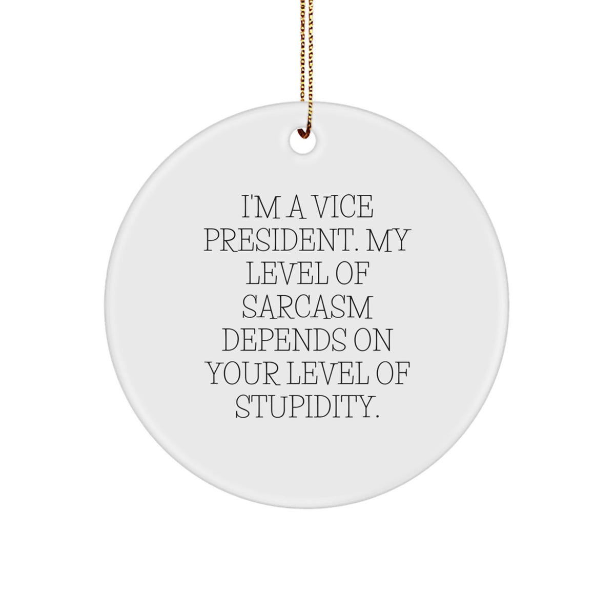 Funny Vice President Circle Ornament Gifts from Friends - Sarcastic Christmas Decorations for Office - Vice President Vice President - Image 1