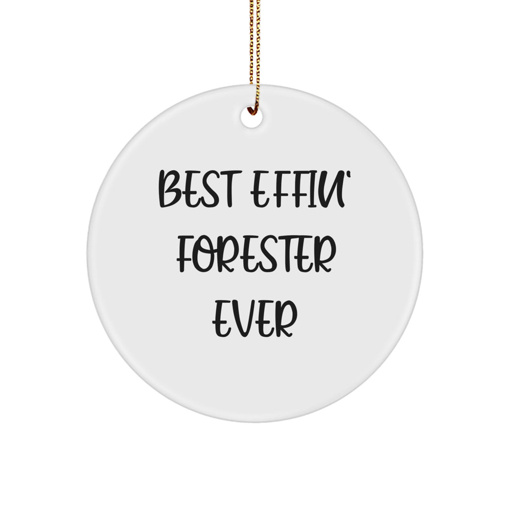 Funny Forester Gifts, Best Effin' Forester Ever Circle Ornament for Men, Women, Friends, Coworkers, Family - Christmas Unique Gifts from Friends - Image 1