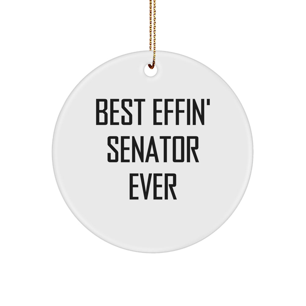 Funny Senator Circle Ornament, Gift for Senator, Best Effin' Senator Ever, Unique Christmas Unique Gifts from Men to Senator, Senator Decorations - Image 1