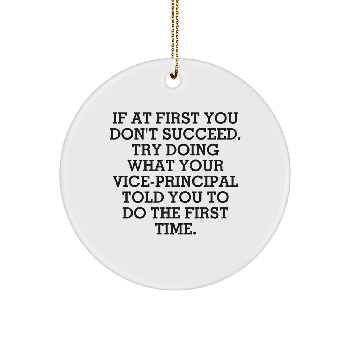 Funny Vice-principal Gifts from Men for Men with If At First You Don't Succeed, Try Doing What Your Vice-principal Told You To Do The First Time. Christmas Unique Circle Ornament - Image 1
