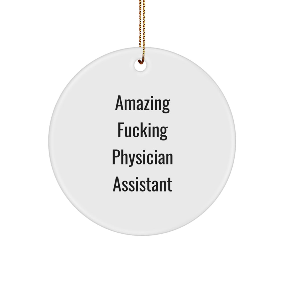 Funny Physician Assistant Gifts from Friends - Amazing Circle Ornament for Christmas - Inspirational Quote - Image 1