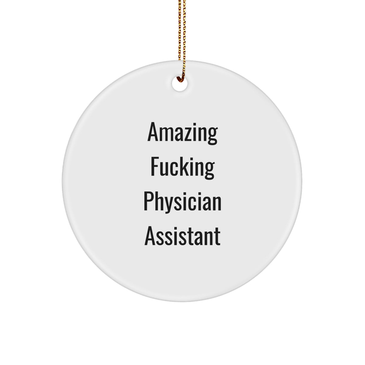 Funny Physician Assistant Gifts from Friends - Amazing Circle Ornament for Christmas - Inspirational Quote - Image 1