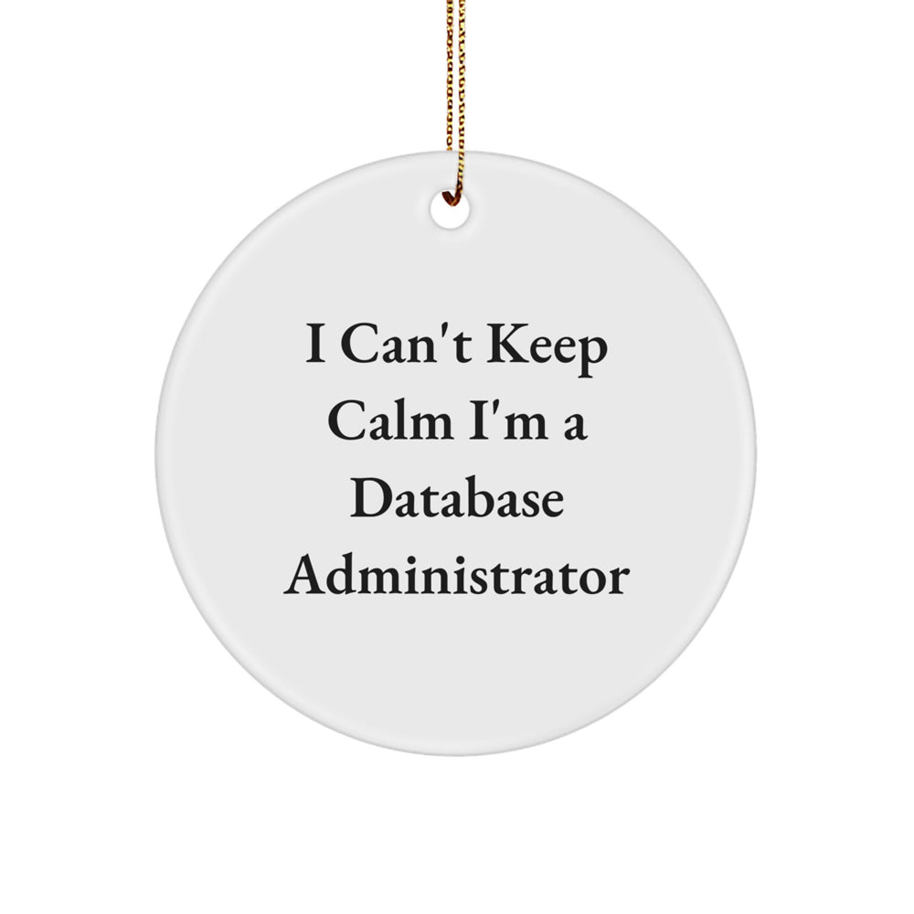 Funny Database Administrator Gifts, I Can't Keep Calm I'm A Database Administrator Circle Ornament for Men, Women, Friends, Coworkers, Family, Christmas Unique Gifts - Image 1