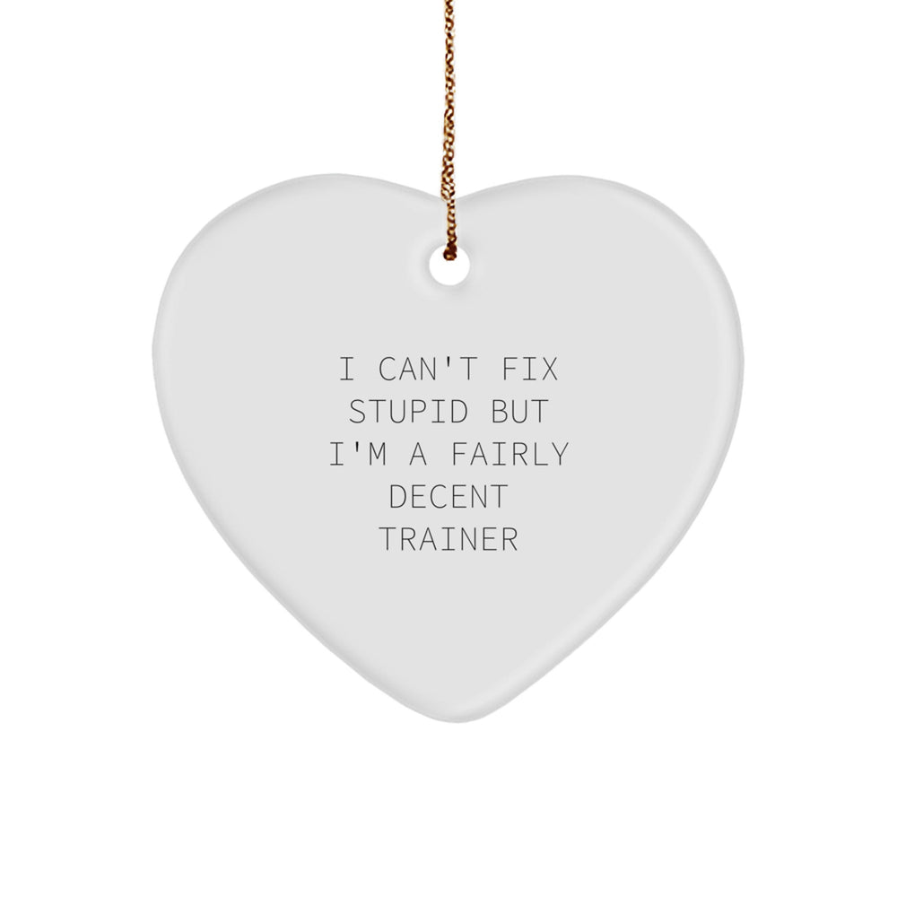 Funny Trainer Gifts from Men to Friends for Christmas - 'I Can't Fix Stupid But I'm A Fairly Decent Trainer' Heart Ornament - Image 1