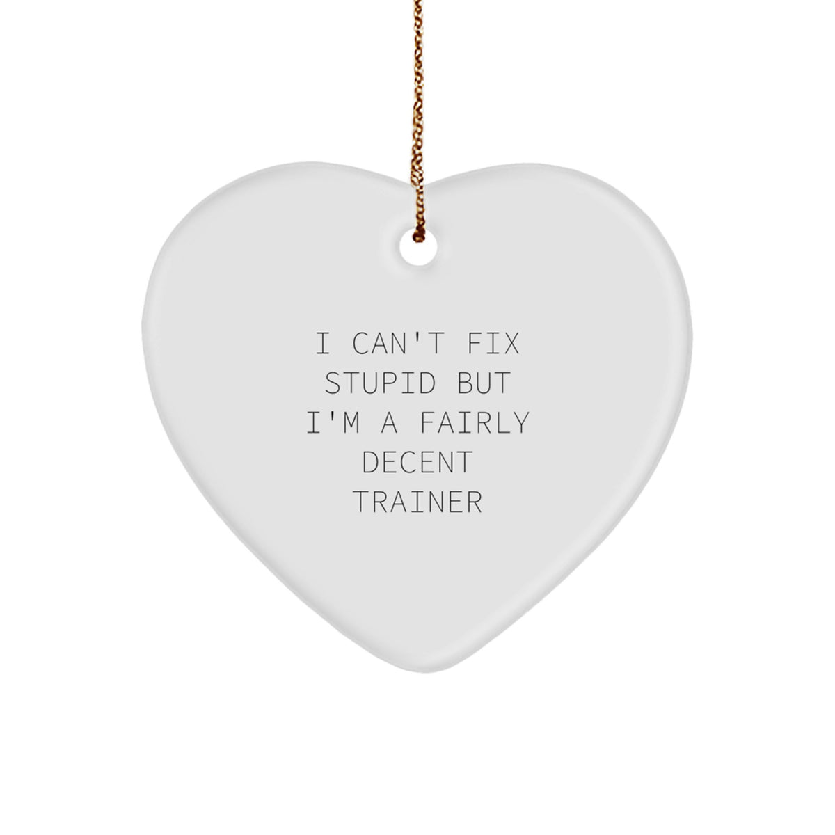 Funny Trainer Gifts from Men to Friends for Christmas - 'I Can't Fix Stupid But I'm A Fairly Decent Trainer' Heart Ornament - Image 1