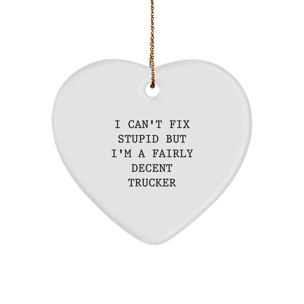 Funny Trucker Gifts from Men to Trucker Friends - I Can't Fix Stupid But I'm A Fairly Decent Heart Ornament, Christmas Unique Trucker Accessories - Image 1