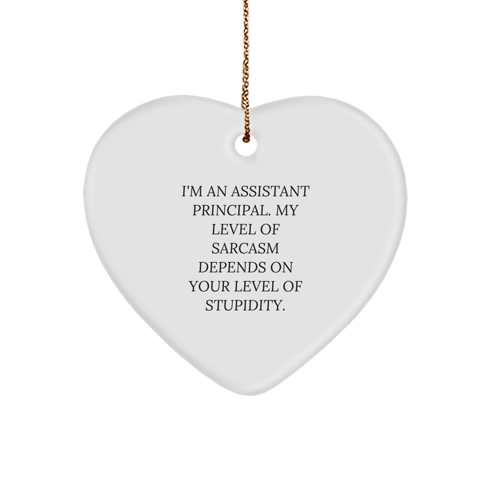 Funny Assistant Principal Heart Ornament, 'My Level Of Sarcasm Depends On Your Level Of Stupidity' Quote, Gifts from Friends, Family, or Coworkers for Assistant Principal, Christmas Unique Presents - Image 1