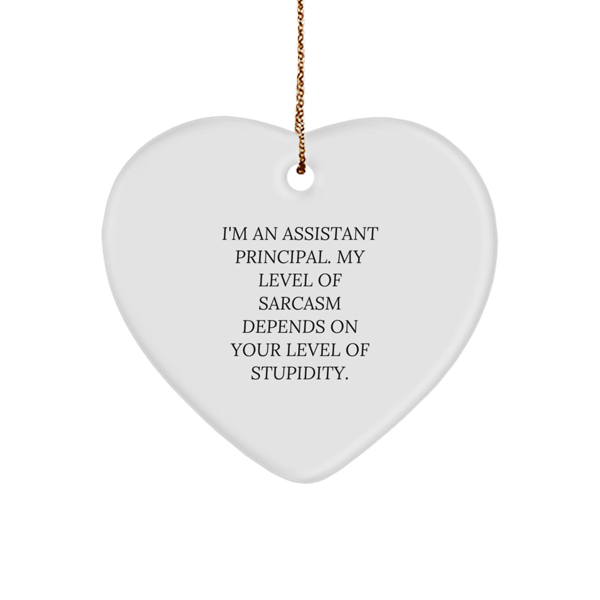 Funny Assistant Principal Heart Ornament, 'My Level Of Sarcasm Depends On Your Level Of Stupidity' Quote, Gifts from Friends, Family, or Coworkers for Assistant Principal, Christmas Unique Presents - Image 1