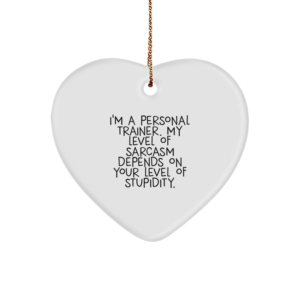 Funny Personal Trainer Gifts from Friends to Men and Women - Heart Ornament with Sarcasm Quote for Christmas - Image 1