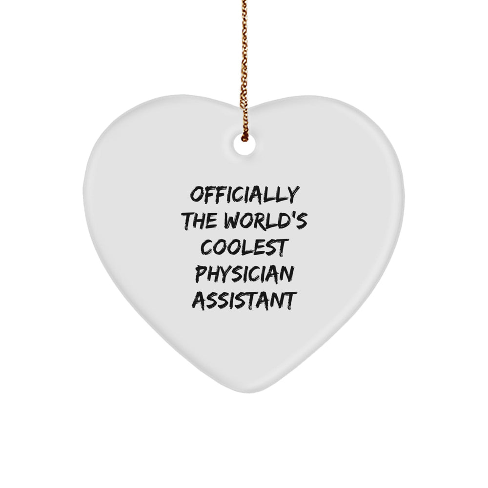 Funny Gifts from Friends, Family or Coworkers to Gifts for Physician Assistant, Heart Ornament, Christmas Unique Gifts - Image 1