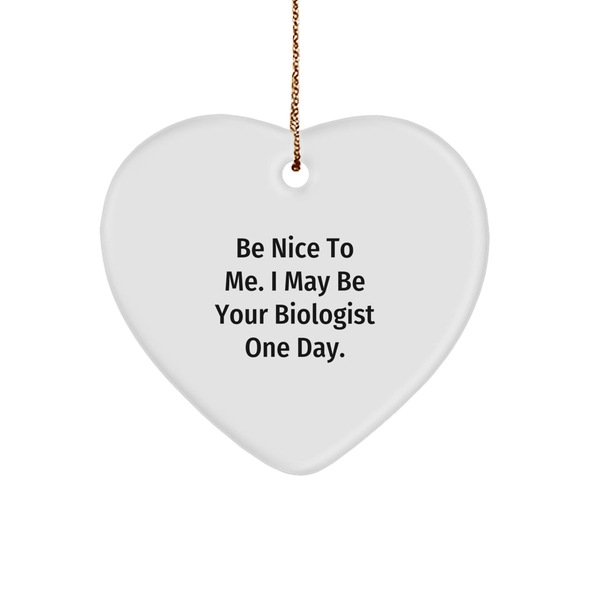 Funny Biologist Quote Gifts from Men to Friends - 'Be Nice To Me. I May Be Your Biologist One Day.' Christmas Heart Ornament for Women, Coworkers, Family - Image 1