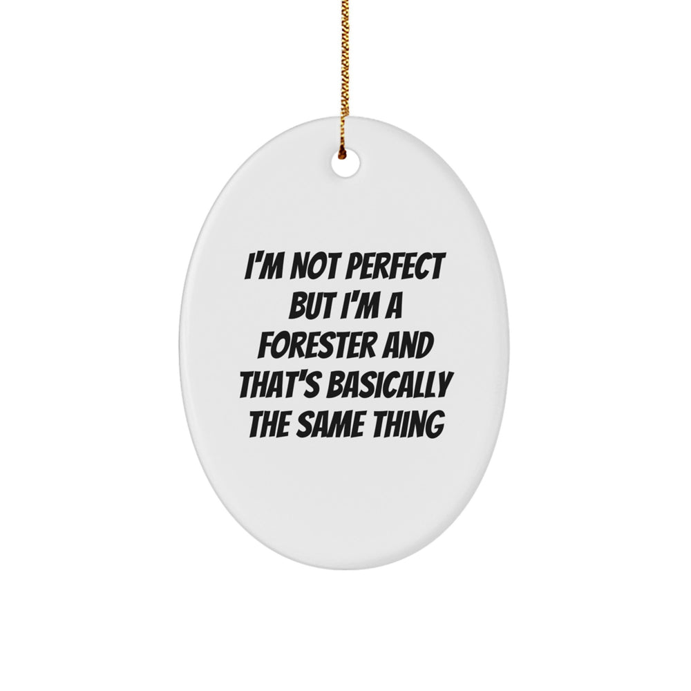 Funny Forester Gifts from Friends and Family - I'm Not Perfect Oval Ornament, Christmas Unique Presents for Forester - Image 1