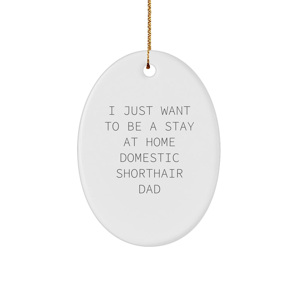 Funny Domestic Shorthair Cat Gifts from Dad for Christmas Unique Oval Ornament Friends and Family, I Just Want To Be A Stay At Home Domestic Shorthair Dad - Image 1