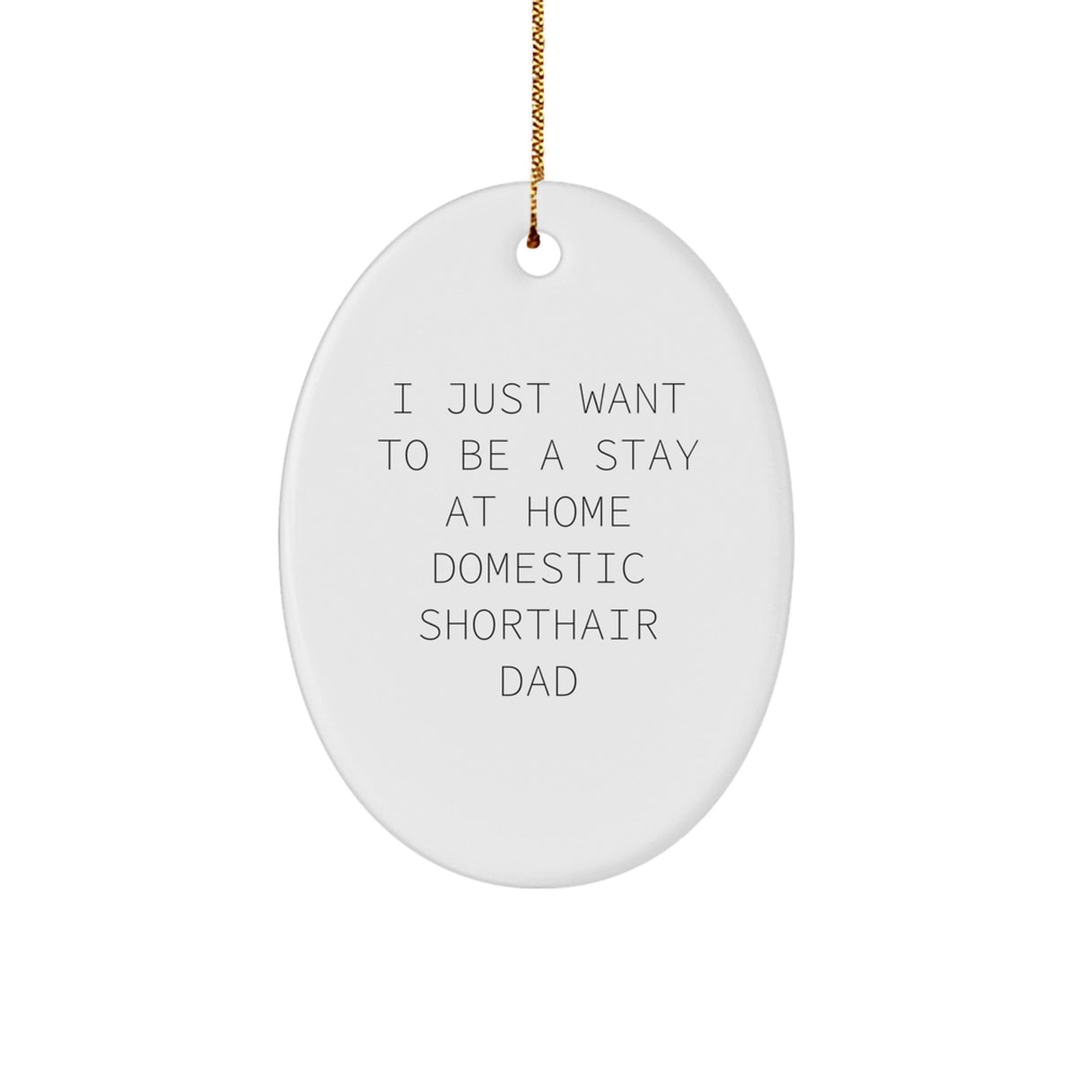 Funny Domestic Shorthair Cat Gifts from Dad for Christmas Unique Oval Ornament Friends and Family, I Just Want To Be A Stay At Home Domestic Shorthair Dad - Image 1