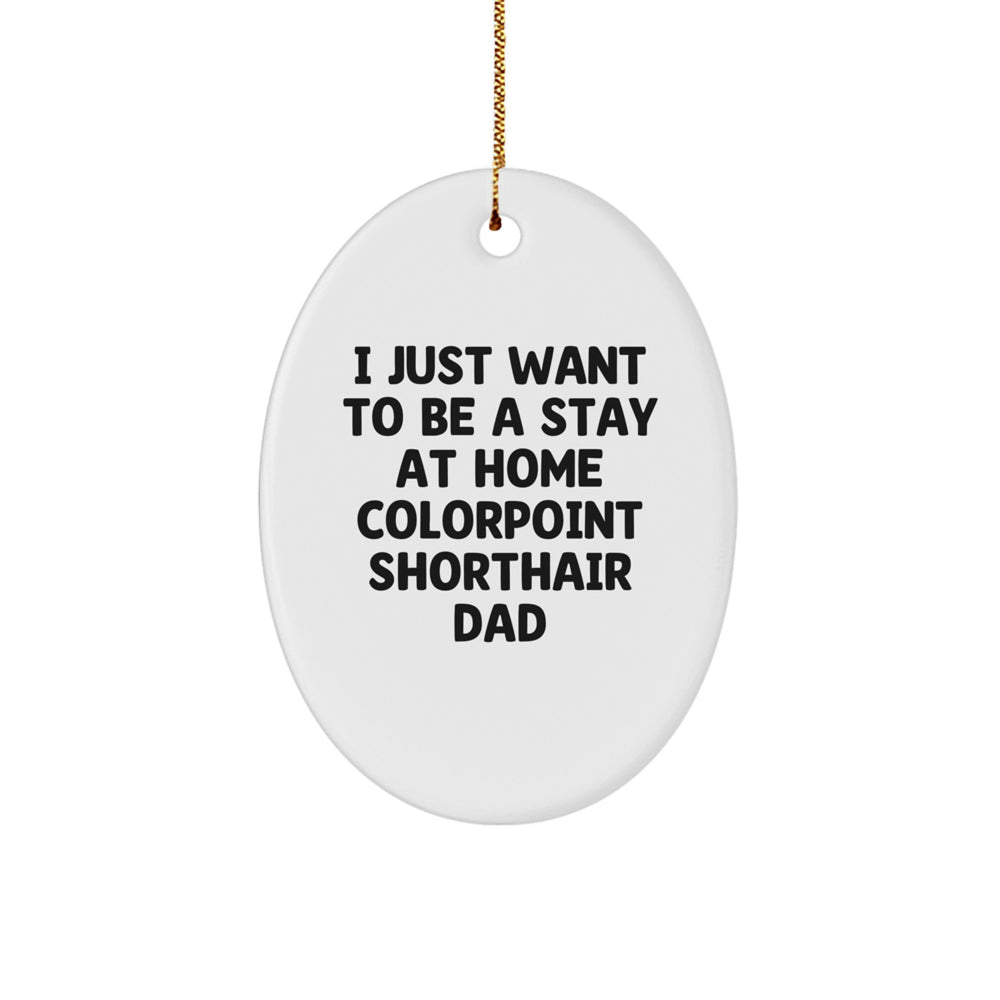 Colorpoint Shorthair Cat Dad's Funny Oval Ornament Gifts from Friends to Family, 'I Just Want To Be A Stay At Home Colorpoint Shorthair Dad', Christmas Unique Gifts for Men - Image 1