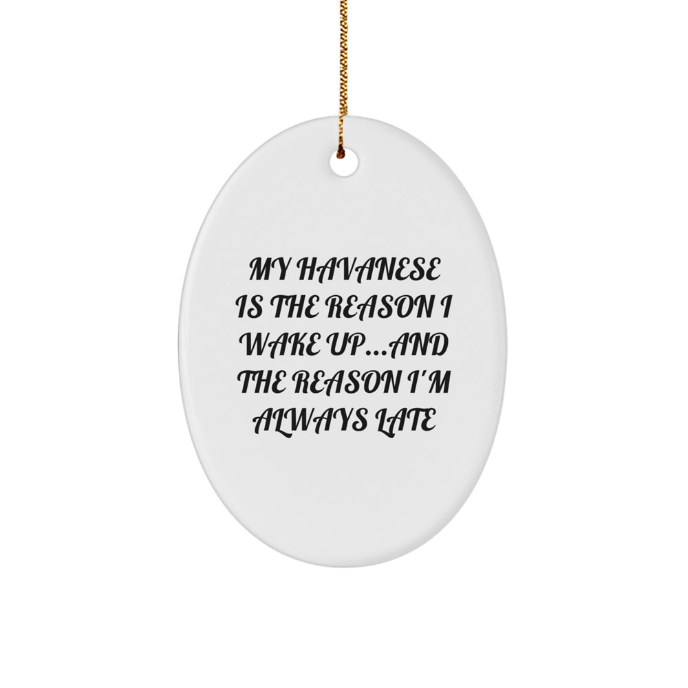 Havanese Dog Lovers Gift from Friends, Funny Oval Ornament, My Havanese Is The Reason I Wake Up, Christmas Unique Gifts for Havanese Dog Owners - Image 1