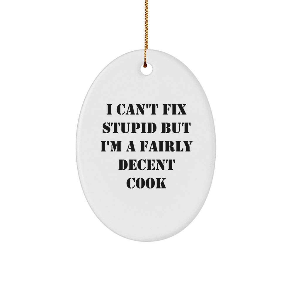 Funny Cook Gifts from Friends for Christmas - Oval Ornament with 'I Can't Fix Stupid But I'm A Fairly Decent Cook' Quote, Unique White Oval Shaped Home Decor - Image 1