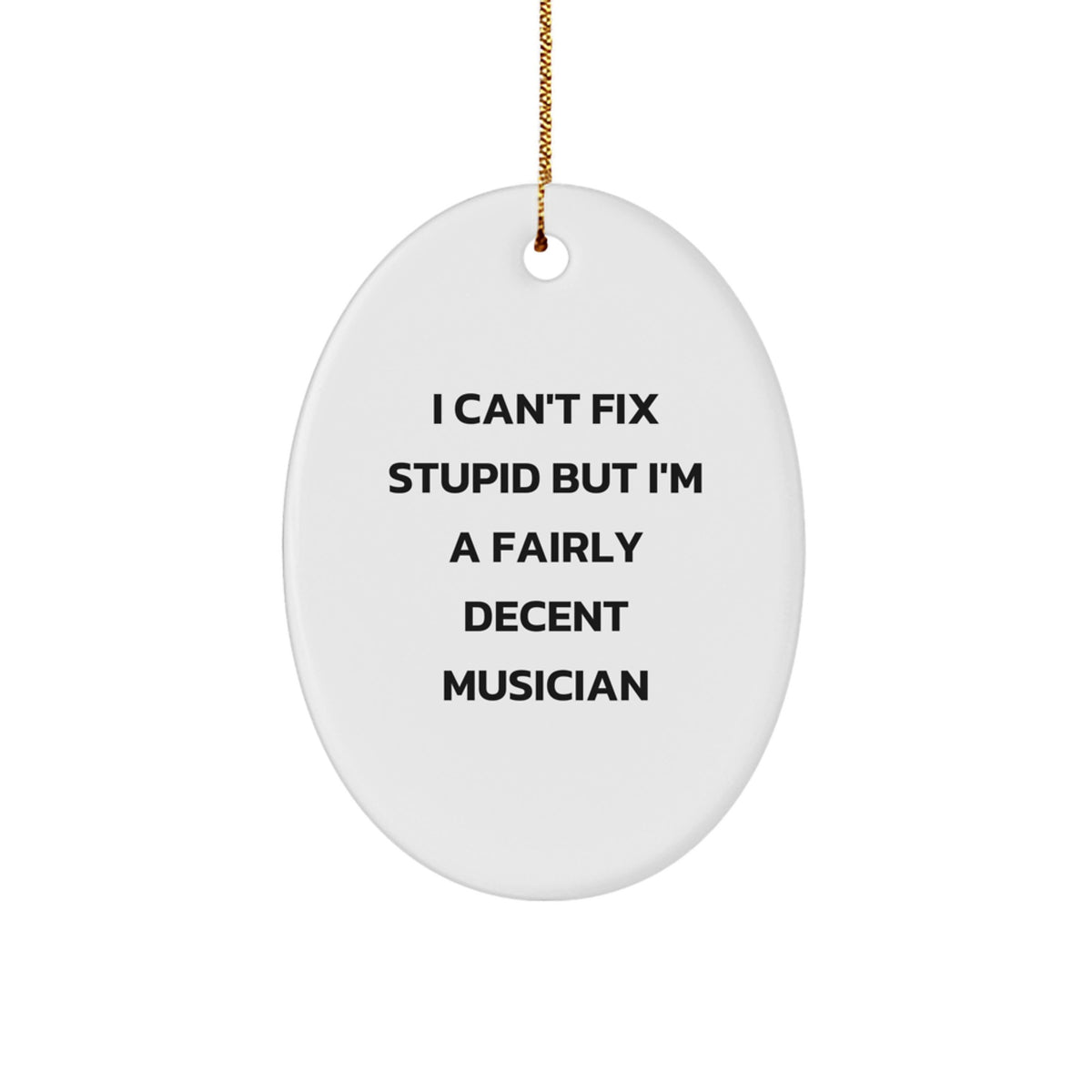 Funny Musician Gifts for Men Oval Ornament from Friends - I Can't Fix Stupid But I'm A Fairly Decent Musician Christmas Unique - Image 1