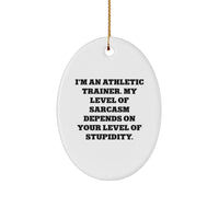 'Sarcastic' Humor for Athletic Trainers, Funny Gifts from Friends to Family, Oval Ornament for Christmas - Image 1