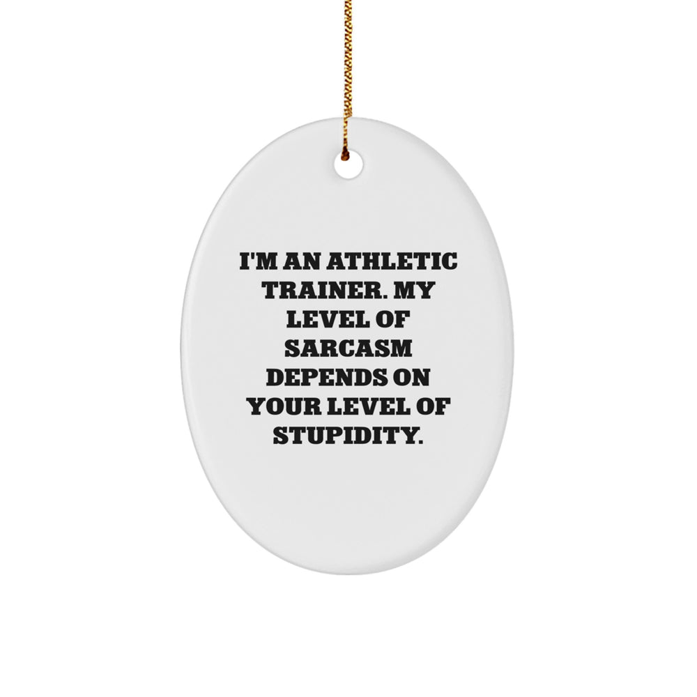 'Sarcastic' Humor for Athletic Trainers, Funny Gifts from Friends to Family, Oval Ornament for Christmas - Image 1