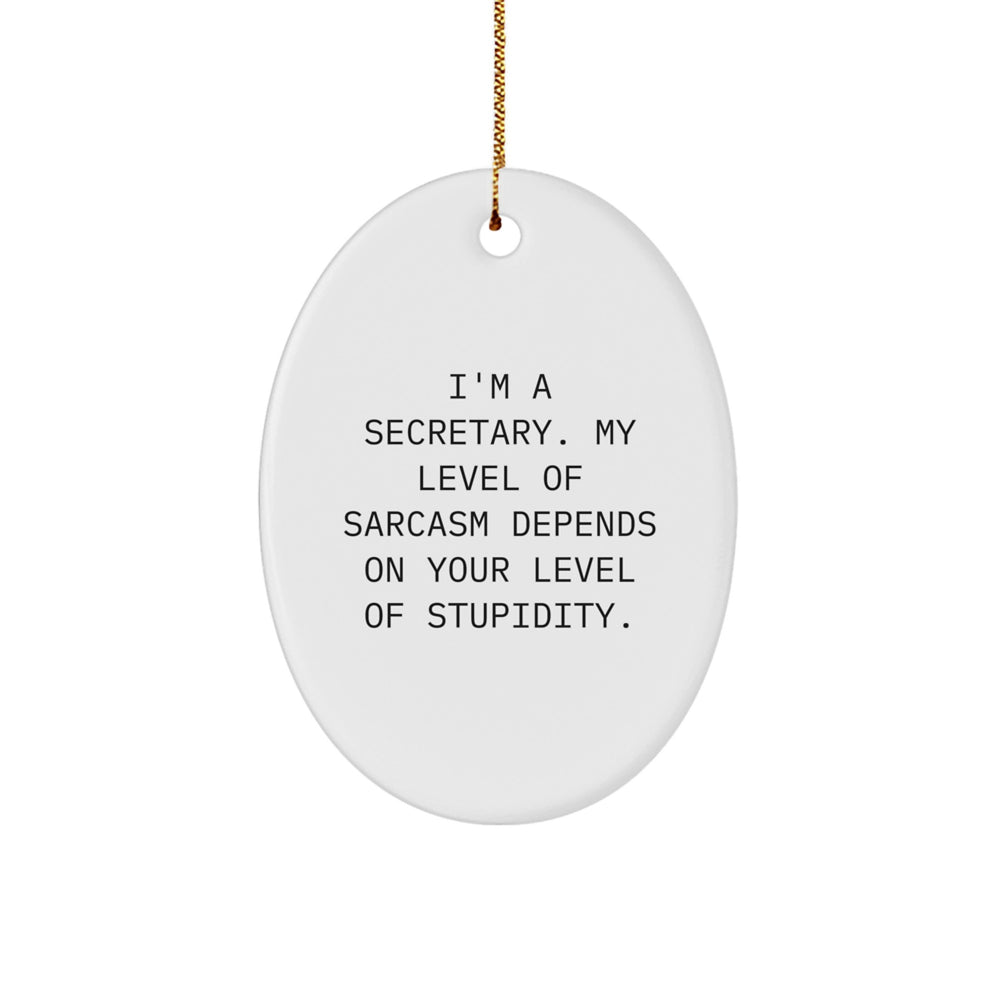 Funny Secretary Oval Ornament Gifts from Friends for Christmas - 'I'm A Secretary. My Level Of Sarcasm Depends On Your Level Of Stupidity.' - Image 1