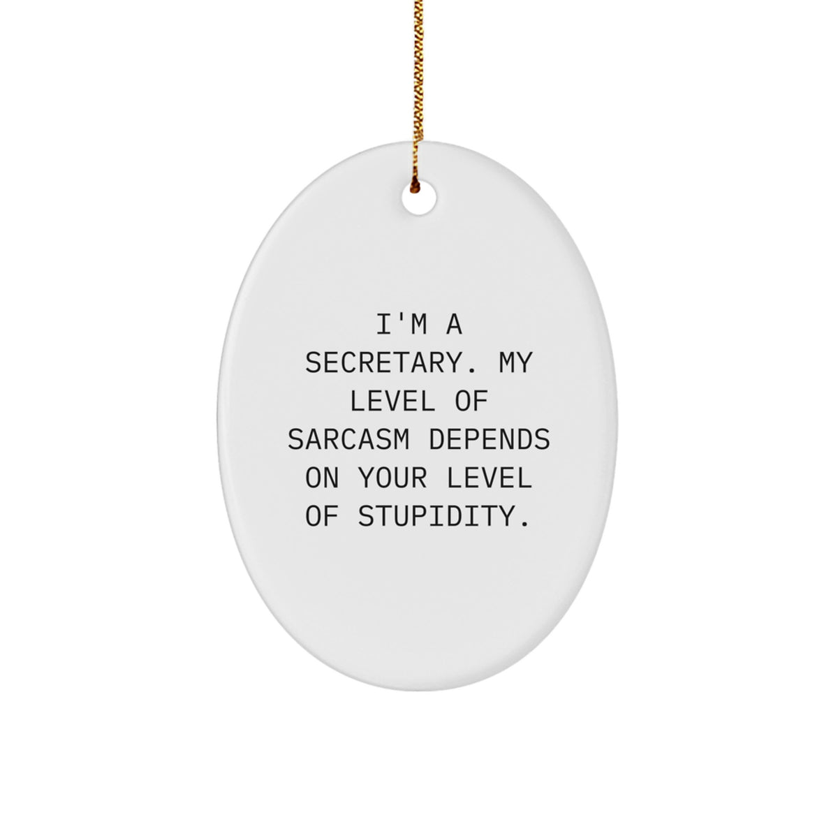 Funny Secretary Oval Ornament Gifts from Friends for Christmas - 'I'm A Secretary. My Level Of Sarcasm Depends On Your Level Of Stupidity.' - Image 1