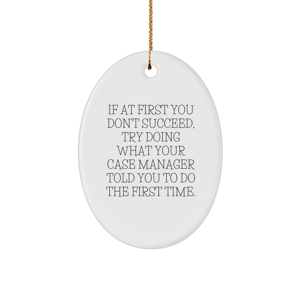 Funny Case Manager Gifts from Friends for Case Managers Oval Ornament, Inspirational Motivational Office Decoration for Christmas Unique Gifts - Image 1