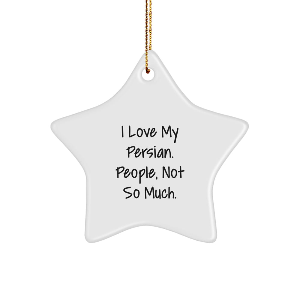 Funny Persians Gifts from Friends for Christmas Unique Star Ornament - I Love My Persian. People, Not So Much. - Image 1