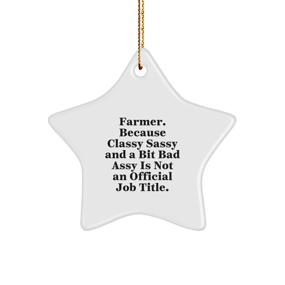 Funny Farmer Star Ornament Gifts from Friends for Christmas, Unique Farming Decorations, Sassy Star Shaped MDF Metal, Funny Quotes for Farmers. - Image 1