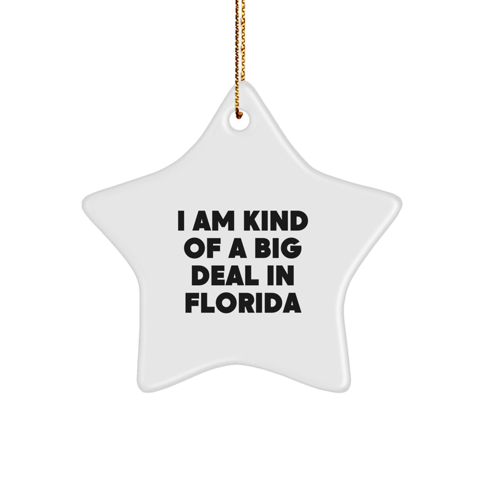 Florida Star Ornament, I Am Kind Of A Prime Selection In Florida, Funny Quote, Christmas Unique Gifts from Friends - Image 1