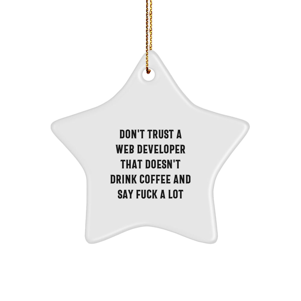 Funny Web Developer Gifts from Friends, Unique Star Ornament for Web Developer,  - Image 1