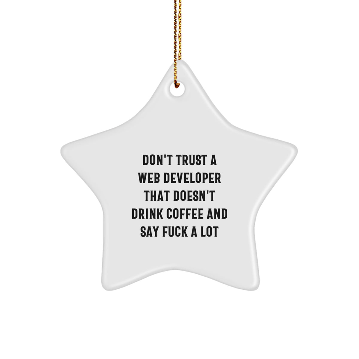 Funny Web Developer Gifts from Friends, Unique Star Ornament for Web Developer,  - Image 1
