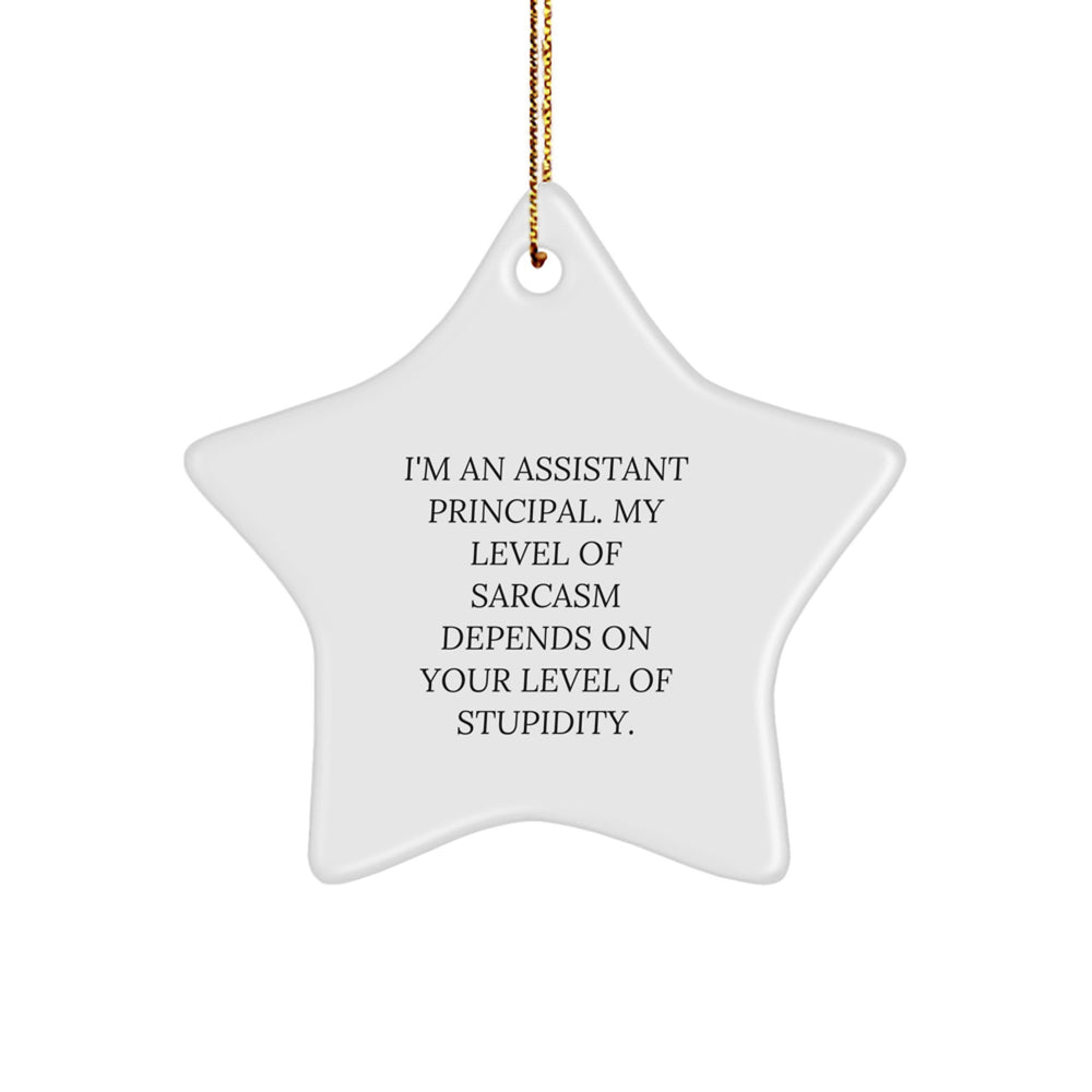 Sassy Assistant Principal Star Ornament, Funny Quote 'I'm An Assistant Principal...', Gifts for Assistant Principal, Christmas Unique Gifts from Friends - Image 1