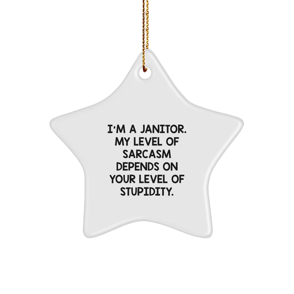 Funny Janitor Gifts from Friends, Coworkers, Family - Star Ornament for Janitors with Sarcasm Quote, Christmas Unique Gift - Image 1
