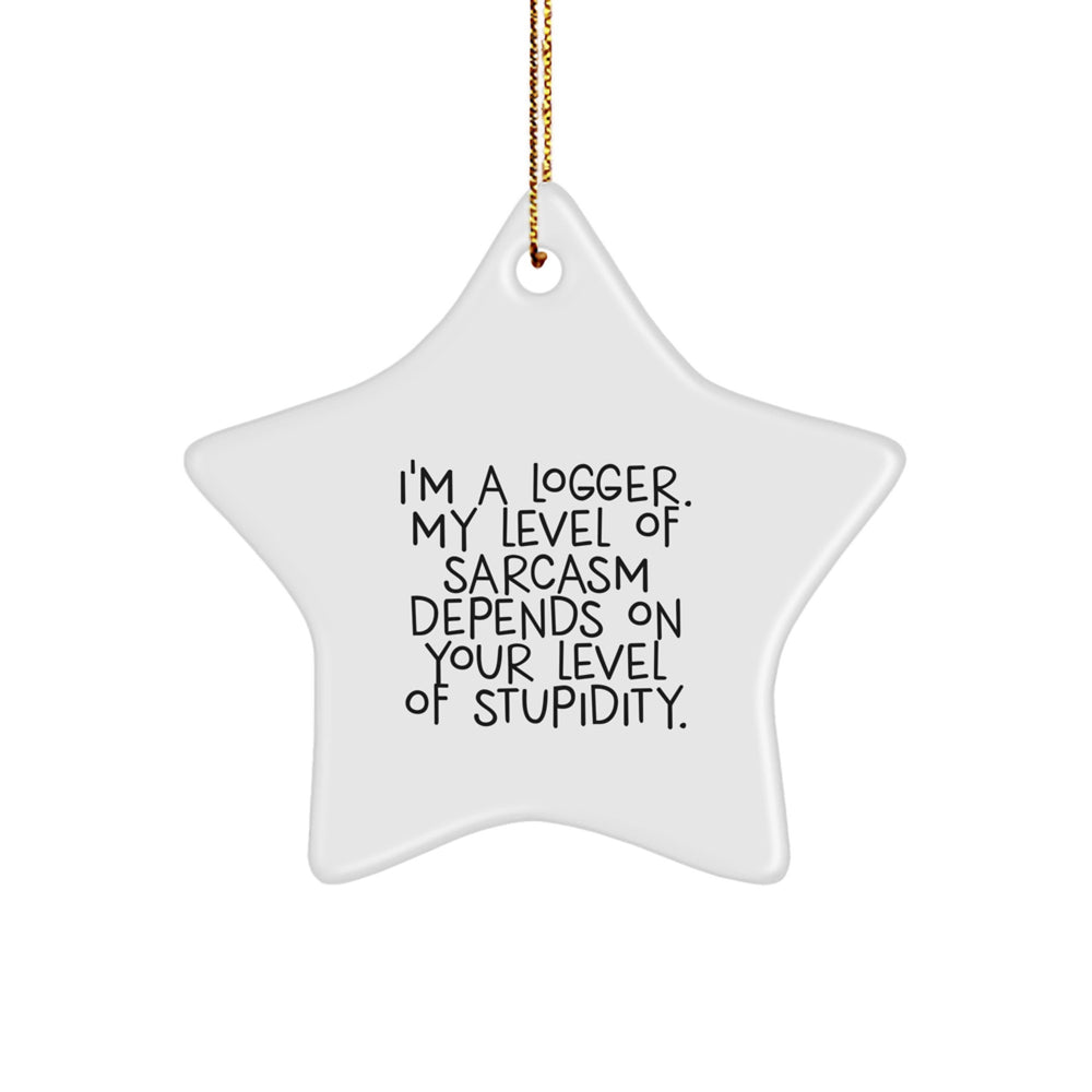Funny Logger Gifts, I'm A Logger My Level Of Sarcasm Depends On Your Level Of Stupidity, Star Ornament for Christmas, Gifts from Men to Logger Friends and Family - Image 1
