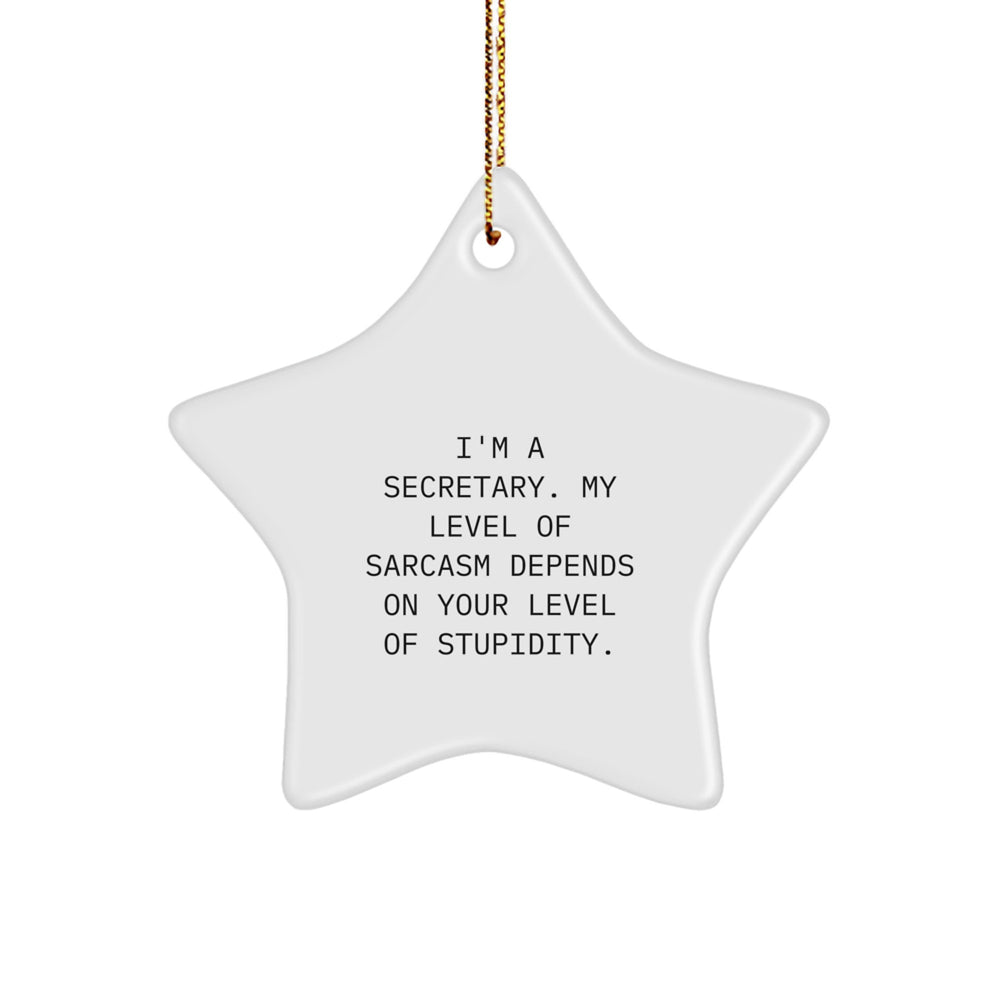 Funny Secretary Gifts: Sassy Star Ornament for Christmas, Gifts from Friends, Coworkers, or Family for the Ultimate Office Warrior - I'm a Secretary, Level of Sarcasm Depends on Yours - Image 1