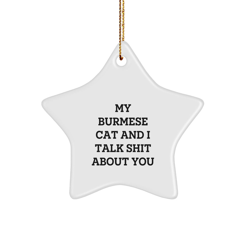 Funny Burmese Cat Star Ornament Gifts for Friends and Family from Me, 'My Burmese Cat And I Talk Shit About You' Christmas Decorations - Image 1